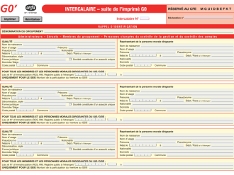 Formulaire intercalaire G0' - GIE : Groupement d'Intérêt Économique / GEIE : Groupement Européen d'Intérêt Économique