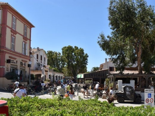 À Porquerolles, un accès régulé pour une expérience préservée