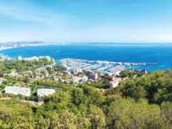 Mandelieu : un budget 2020 consacre ? a ? la remise en e ?tat du territoire