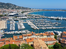 Cannes obtient le renouvellement de son label de destination durable et renforce son ambition environnementale