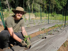 À Biot, le verger Saint-Éloi récolte les premiers fruits d'une ambition agricole locale