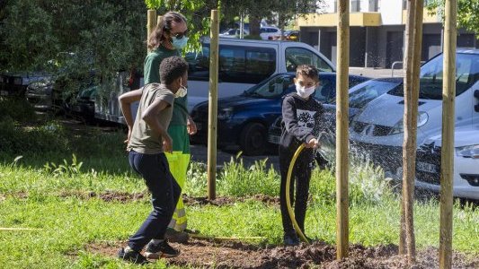 A La Valette-du-Var, plus d'air et plus d'ombrage pour la ville !