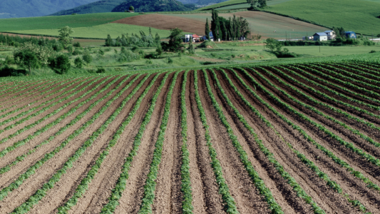 500 millions d'aides européennes pour la ruralité
