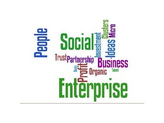 Le social business : une entreprise rentable et non délocalisable