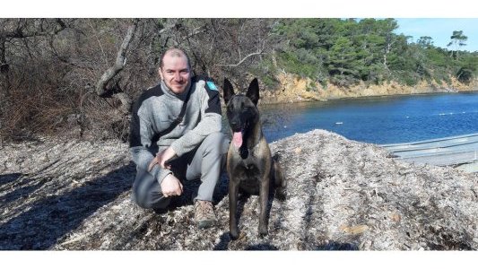 A Port-Cros, un chien de détection pour le Parc national