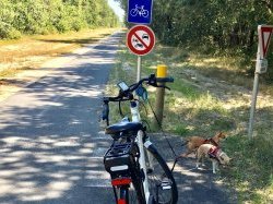 En région Sud, les touristes étrangers reviennent