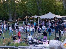 Vanlife, le plus grand festival du Sud-Est