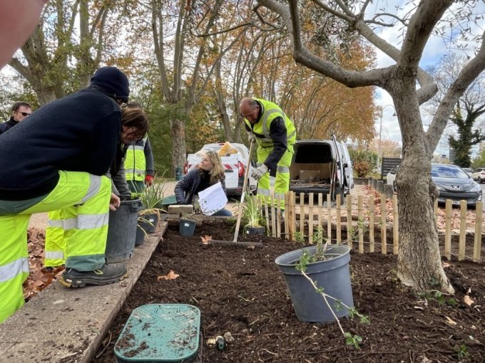 À Brignoles, des plantati