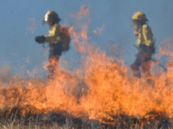 SDIS 06 : principe de précaution face aux résidus de fumée sur les tenues des sapeurs pompiers 