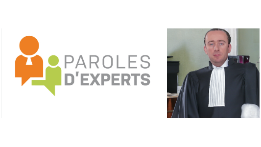 La responsabilité pénale des élus locaux