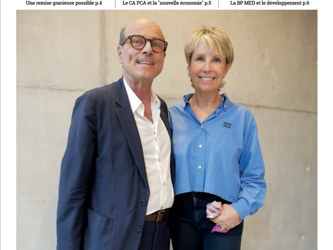 Les Petites Affiches (…)