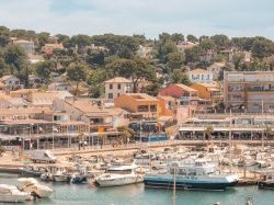 L'Hôtel Bleu fête les oursinades 2026 à Carry-Le-Rouet