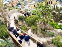 Un balcon sur la Méditerranée retrouve son public : réouverture du Jardin Exotique de Monaco
