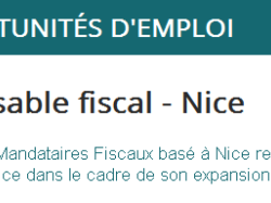 Offre d'emploi : Responsable fiscal de langue maternelle russe