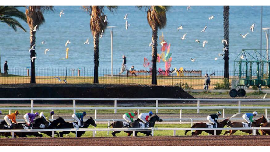 Le 11 février tous à l'Hippodrome pour la journée Fondation Claude Pompidou 