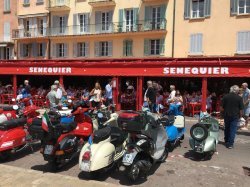 A Saint-Tropez, Sénéquier ferme préventivement pour 15 jours