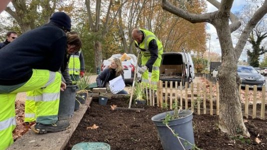 À Brignoles, des plantations économes en eau