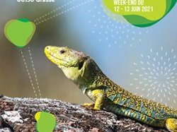 Le Conservatoire d'espaces naturels tiendra son Assemblée générale le 12 et 13 juin 2021 à Grasse