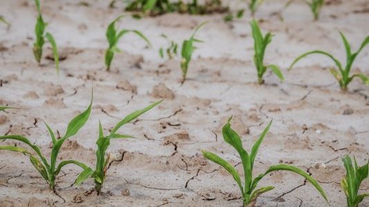 AVIS DE LA DDTM : Reconnaissance de calamite ? agricole, de ?posez vos dossiers !