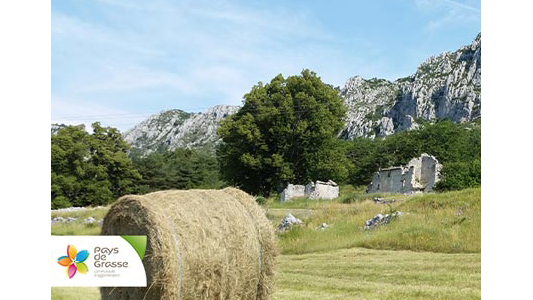 Mardi 19 novembre, 2èmes Assises de l'Agriculture du Pays de Grasse 