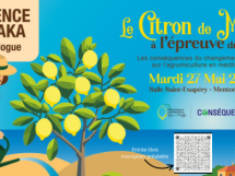 Le Citron de Menton face au défi climatique : une conférence exceptionnelle avec Serge Zaka