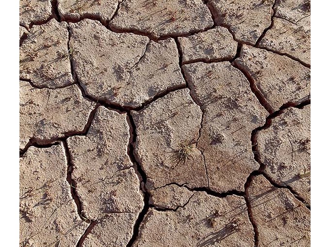 COP 26 : la conférence de