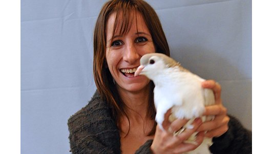 Grasse : animaux de basse-cour superstars ! 