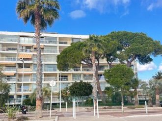 Mieux protéger les arbres en ville : Cannes déploie un barème d'évaluation 