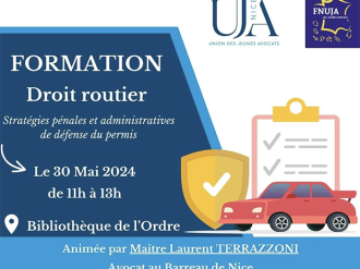 Formation UJA de Nice - Droit routier : stratégies pénales et administratives de défense du permis