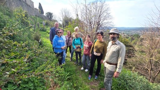 Saint-Paul-de-Vence : Une forêt au pied des remparts