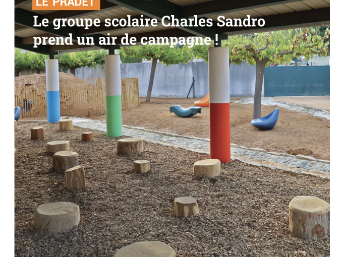 Petites Affiches VAR (…)