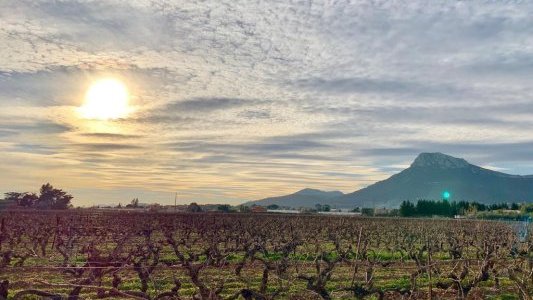Une parenthèse au cœur du terroir provençal
