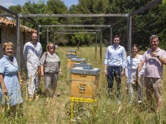 A La Garde, des abeilles pour surveiller la qualité de l'air et de l'eau