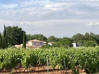 En 2020, les Vins de Provence rosés poursuivent leur croissance à l'export