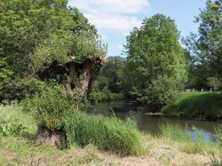 Agence de l'eau : quel est l'état de santé des cours d'eau méditerranéens ?