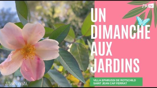 Un merveilleux dimanche aux jardins de la Villa Ephrussi