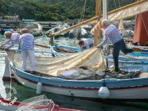 L'esprit des Pointus à Port-Cros, une grande fête populaire