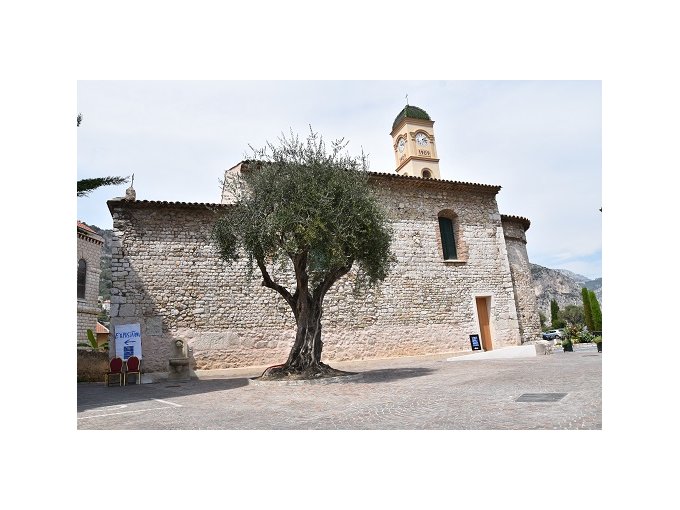 Beaulieu-sur-Mer : Avis