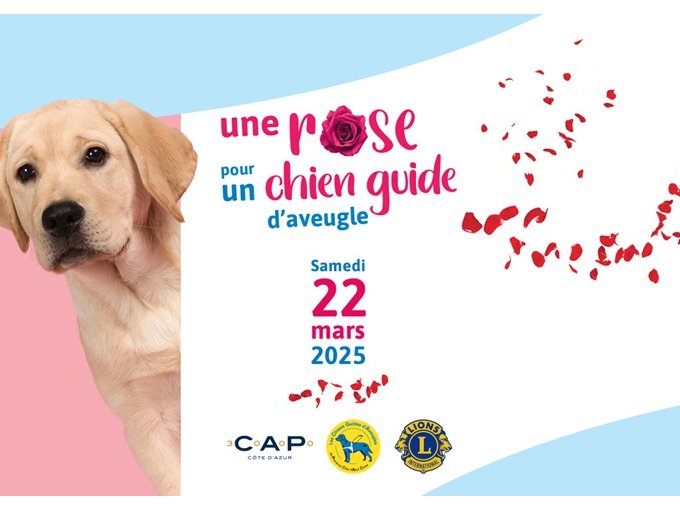 Mobilisation "Une Rose