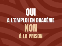  Prison au Muy : Les élus de la Dracénie s'opposent à l'État