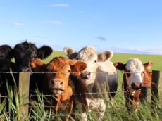 L'essentiel de l'actualité de ce mercredi 17 décembre