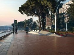 À Cannes, la Croisette entame sa métamorphose