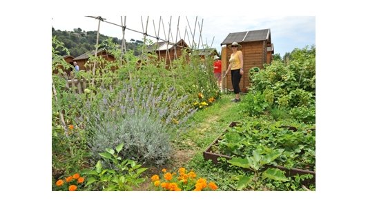 Cagnes-sur-Mer : Le succès des jardins potagers en ville