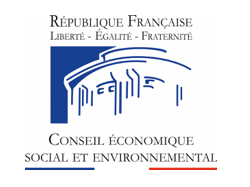 Fiscalité écologique et pouvoir d'achat : le CESE invite les gilets jaunes et l'ensemble des citoyens à participer à ses travaux
