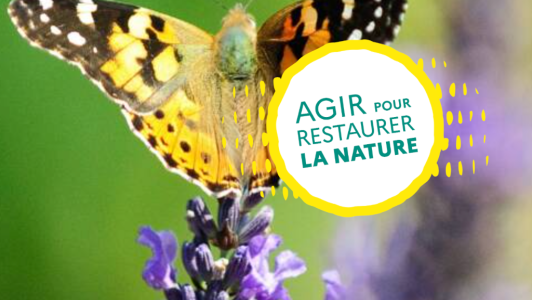 Une consultation nationale pour « restaurer la nature »