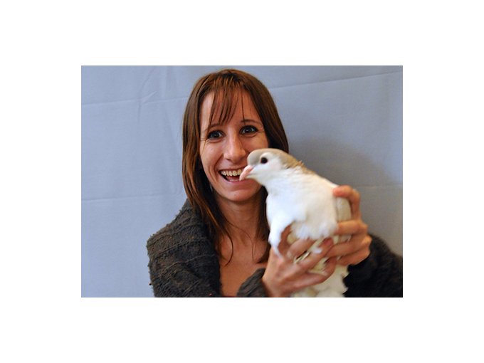 Grasse : animaux de (…)