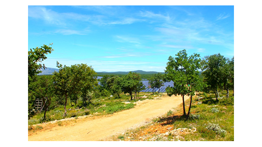 La commune d'Ollières et ENGIE inaugurent 4 parcs solaires