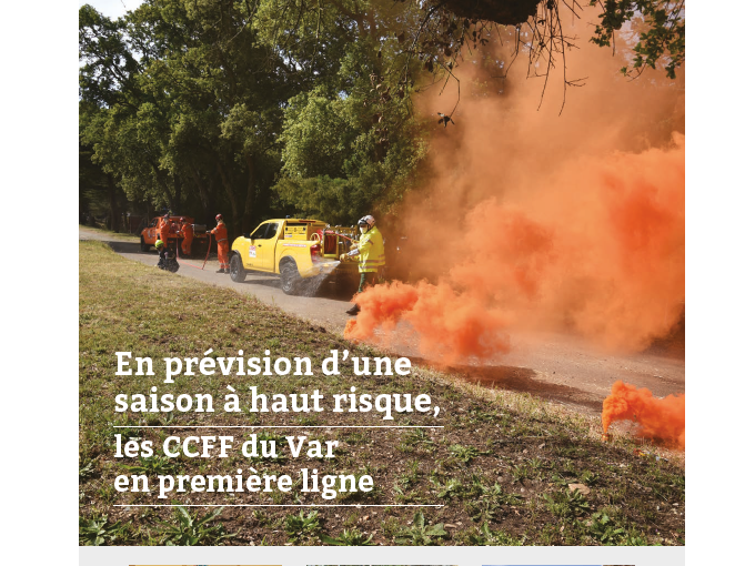 Petites Affiches VAR (…)