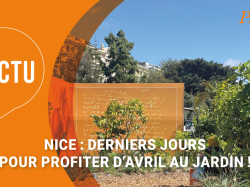 Avril au jardin : derniers jours pour découvrir la rétrospective sur les travaux d'Antoine Risso
