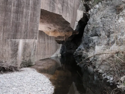 « Rivières Secrètes » explore les écosystèmes aquatiques du Var